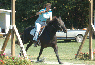 jouster